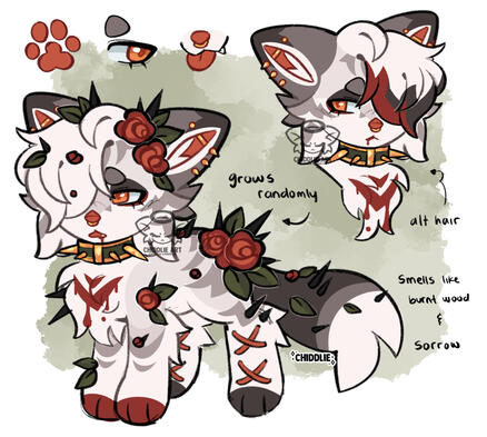 Custom (sketch)